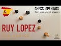 Ruy Lopez - Ideas, Principles and Common Variations ⎸Chess Openings