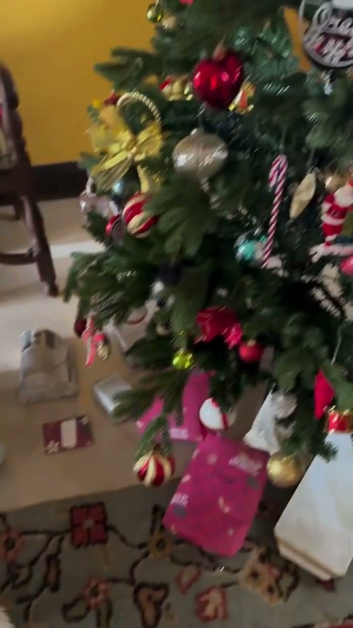 Soha Ali Khan’s daughter Inaaya CUTELY wraps Christmas presents in newspaper ? #shorts #christmas
