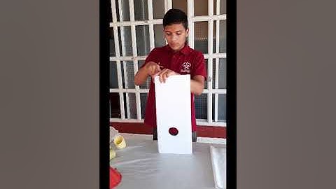 Alimentador automatico bluetooth para mascotas hecho con arduino