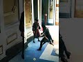 Assassin's Creed Unity Flawless Stealth Kills