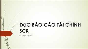 Đọc báo cáo tài chính SCR