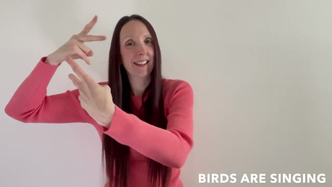 I love Spring Song -  Funny Frog