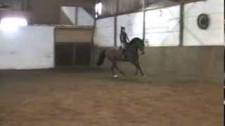 Nikidam Du Chateau 6 J.