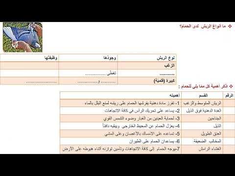 درس صف الطيور للصف الثامن