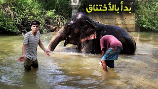 أخطر مدينة في سريلانكا سببها الفيلة 🇱🇰 Village threatened by elephants