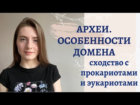 АРХЕИ - ТРЕТИЙ ДОМЕН ЖИЗНИ // ЧЕМ АРХЕИ ПОХОЖИ НА БАКТЕРИЙ И ЭУКАРИЙ