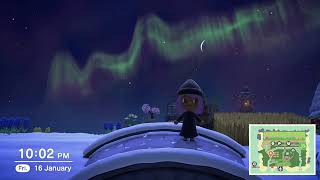 I saw an aurora borealis!! #animalcrossingnewhorizons