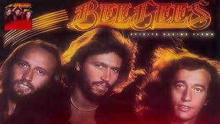 Do You Know the Spirits Having Flown Album by the Bee Gees?