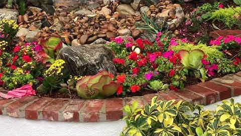 How to program the Luxor Transformer