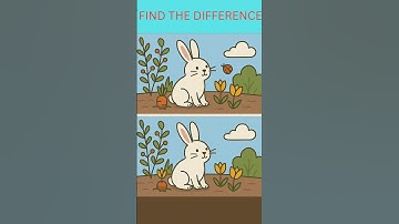 Can you Find 5 Differences 💡 Its Hard to find I Challenge You all To find 5 Differences #shorts