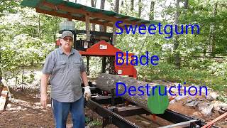 Sweetgum Blade Destruction