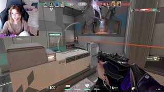 is sinatraa back? (sinatraa´s GF stream) Content