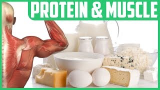 Which is Better for Muscle Strength and Size, Protein in the Morning or at Night?