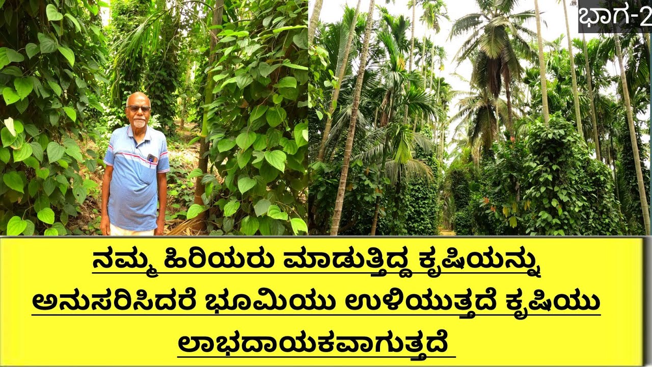 ಕಡಿಮೆ ಭೂಮಿಯಲ್ಲೆ ನಮ್ಮ ಹಿರಿಯರು ಸಮಗ್ರ ಕೃಷಿ ಮಾಡುತ್ತಿದ್ದರು..ಆದರೆ ಈಗ ಒಂದೇ ಬೆಳೆ ಲಾಭ ಬಂದರೆ ಲಾಭ ಬರುತ್ತೆ ಲಾಸ್.