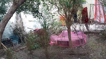 تلاوه عطره من مسجد  جامع الهوير الصغير بصوت الاستاذ ستارعبدالصمد الحجاج العبادي 2020