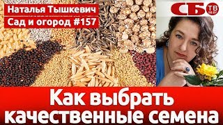 157 Как выбрать качественные семена 157 Как выбрать качественные семена