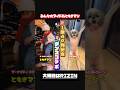 【速報】シーズー様とダンスコラボ