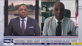 'Ebony Alerts' proposed for missing Black children and young women