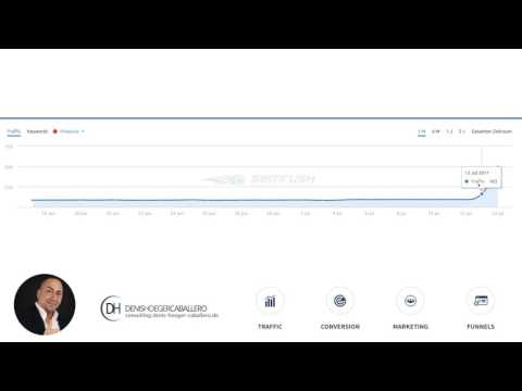 430.85% mehr Besucher und Umsatz! (Case Study - Consulting Kunde)