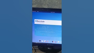 burpsuite booting up Linux