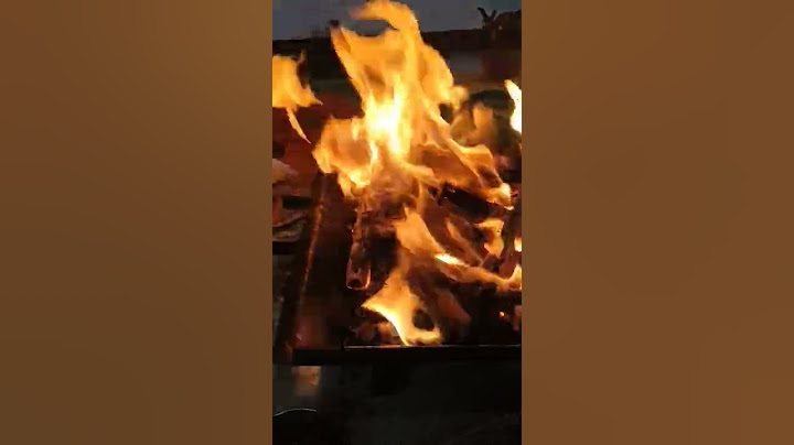 #havan #shorts #short #subscribe #reels #ompoojapath #shortvideo #like #support #india #instagram
