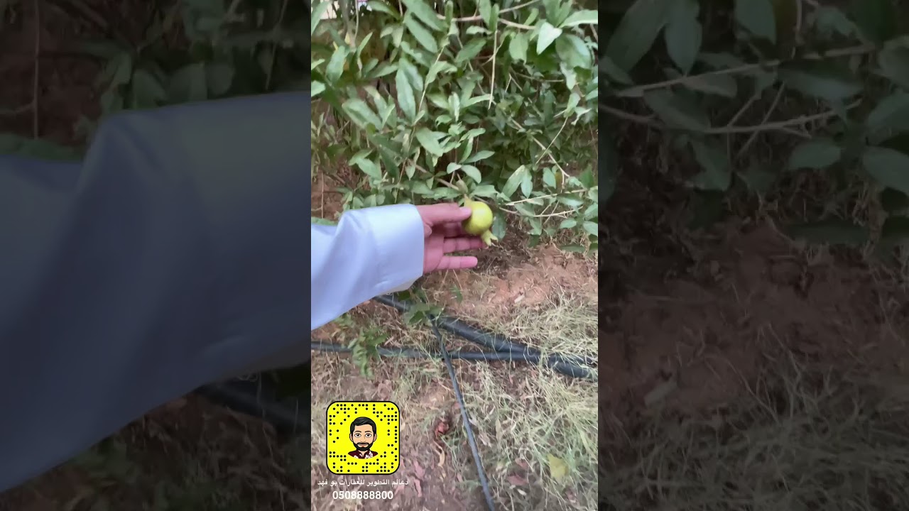 البيع مزرعه بكمب الثنيان