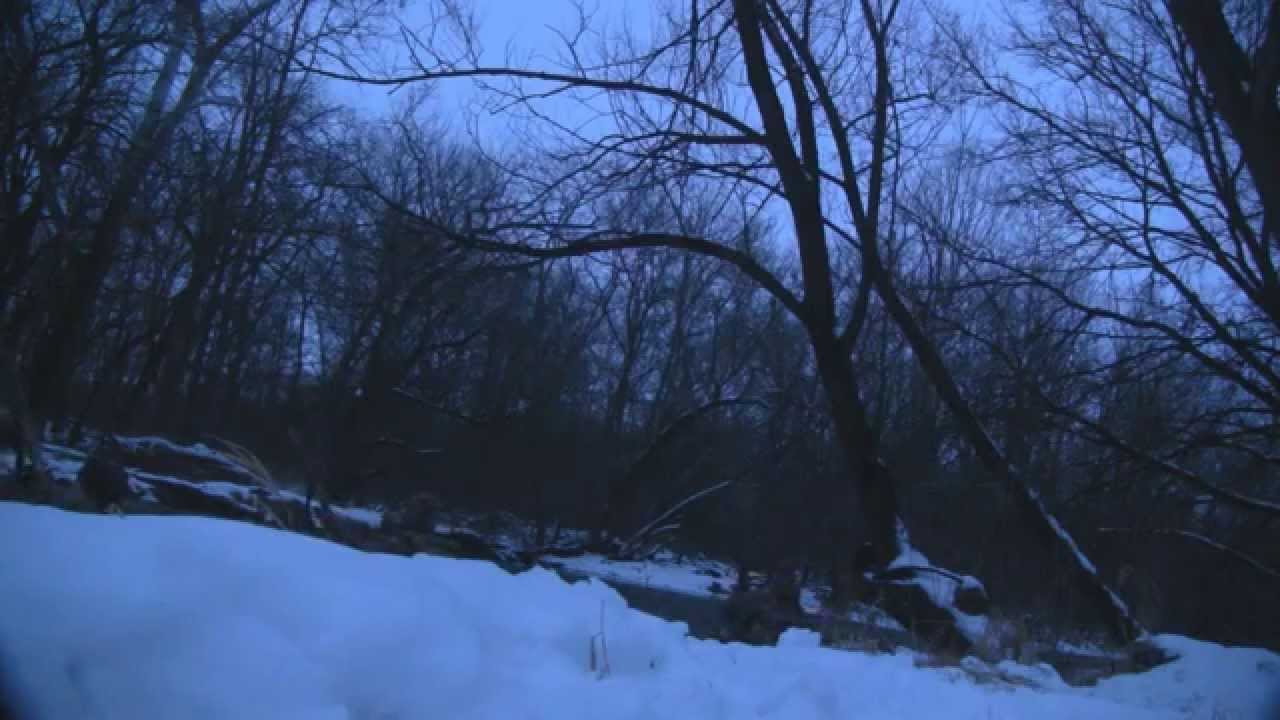 2013 Ohio Duck Hunting On The Stream YouTube 2013-ohio-duck-hunting-on-the-stream-youtube