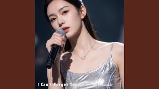 I Can't Forget You