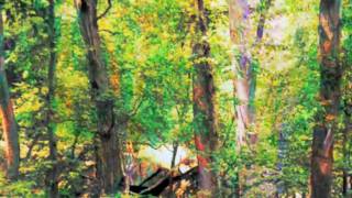 Trees Morphing in the Glen