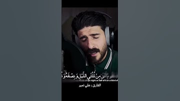 ما تيسر من سورة المزمل بصوت القارئ علي نمير 🌹