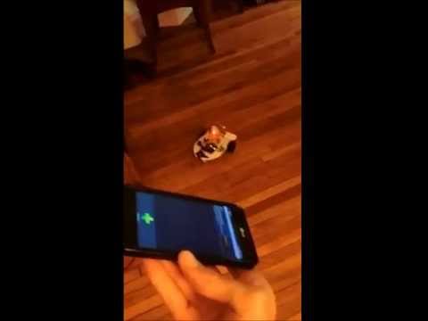 Arduino robot steered with Bluetooth and accelerometer