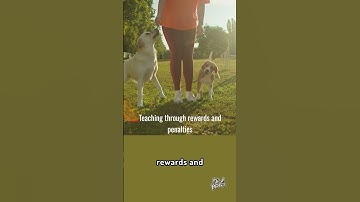 Your Guide to Understanding AI Technology! 🤖🧠