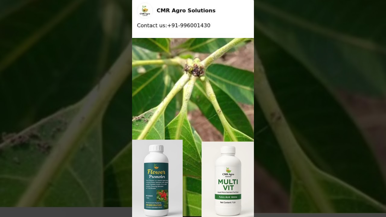 Contact us:+91-9966001430 