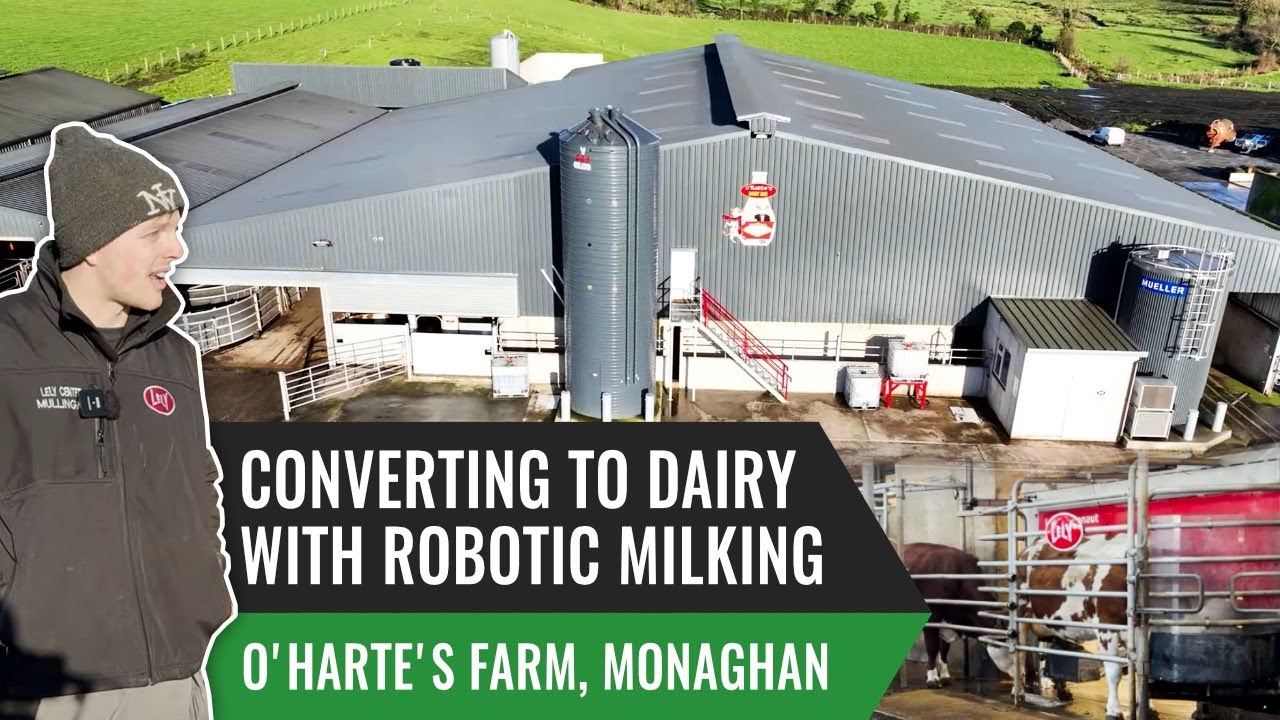 Converting to Dairy with Robotic Milking—O'Harte's Farm, Monaghan YouTube