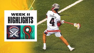 SEASON ON THE LINE | Cannons vs Whipsnakes Highlights Week Eleven