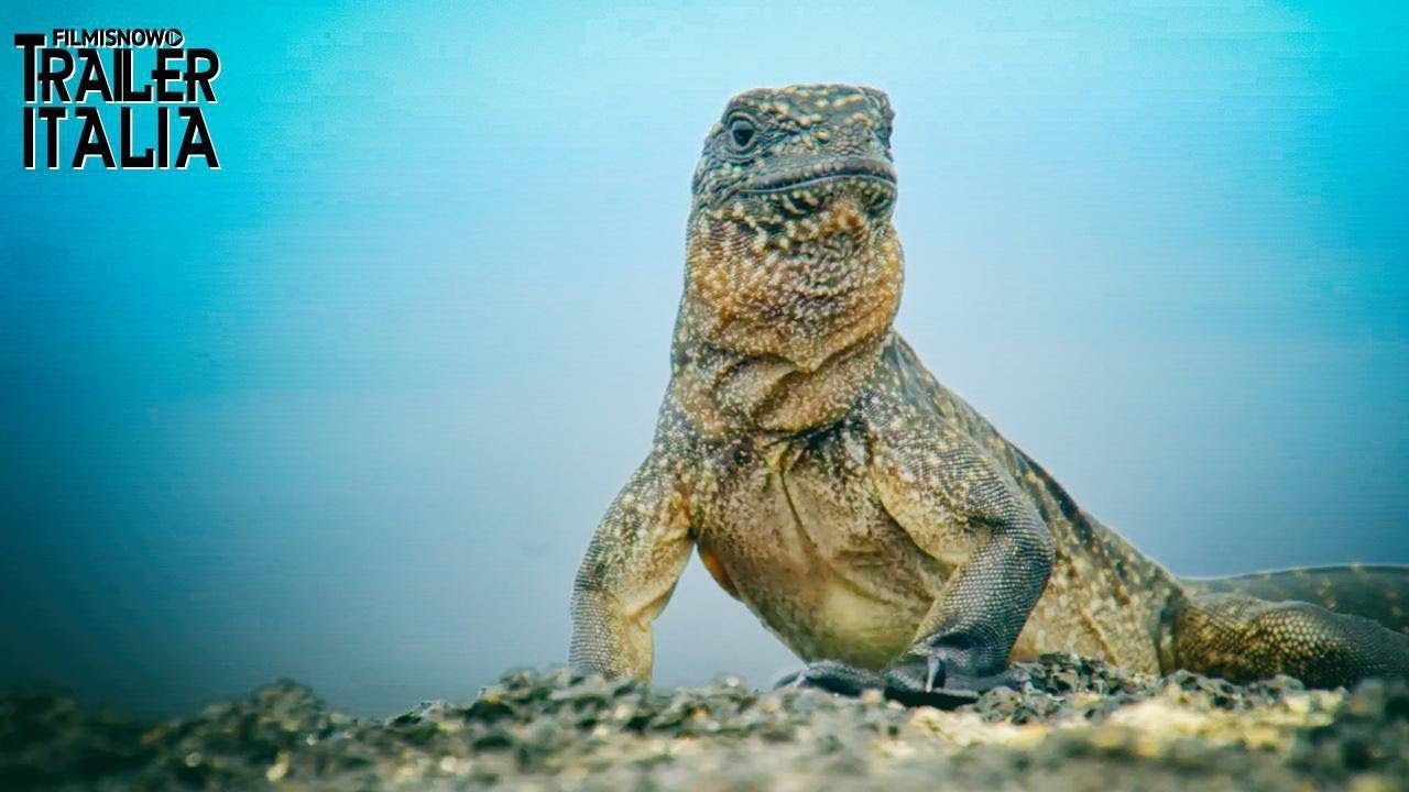 Earth - Un Giorno Straordinario |Clip Iguana VS Serpenti