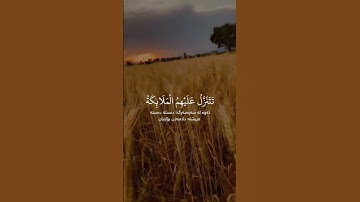سورة فصلت سعدالغامدي