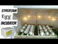 DIY STYROFOAM EGG INCUBATOR | How To Make An Egg Incubator | CHEAP & EASY!