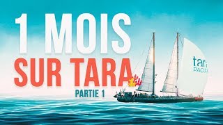 A BORD DE TARA PACIFIC ! https://oceans.taraexpeditions.org -------...