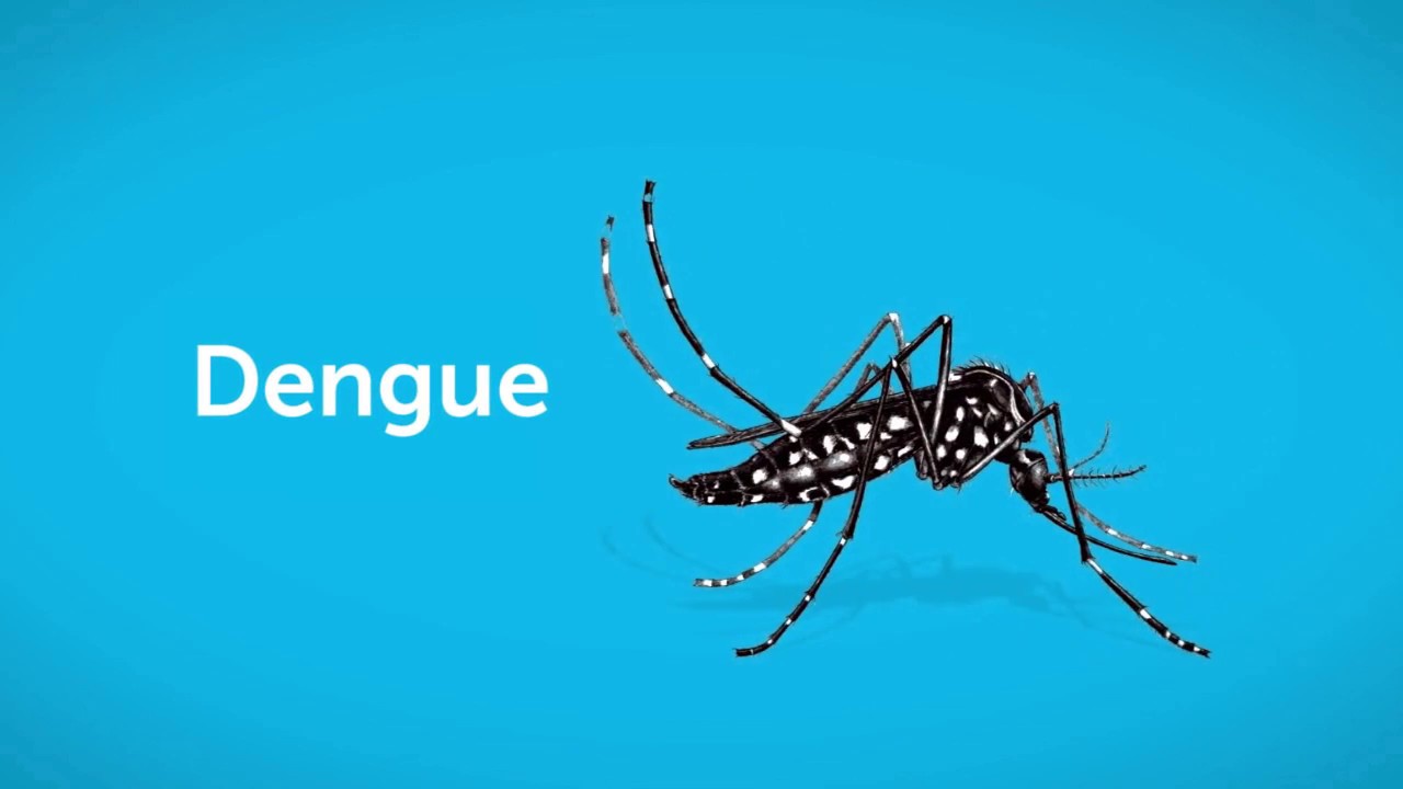 Prevencion De Dengue Chikungunya Y Zika