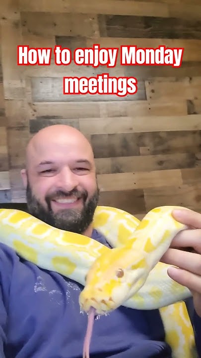 How to enjoy Monday Morning Meetings. 🐍😄 #mondaymotivation #snake # ...