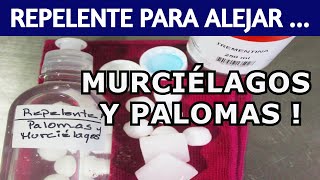 Cómo ALEJAR PALOMAS y MURCIÉLAGOS de tus ventanas y balcones ?!!! ( sin hacerles daño)