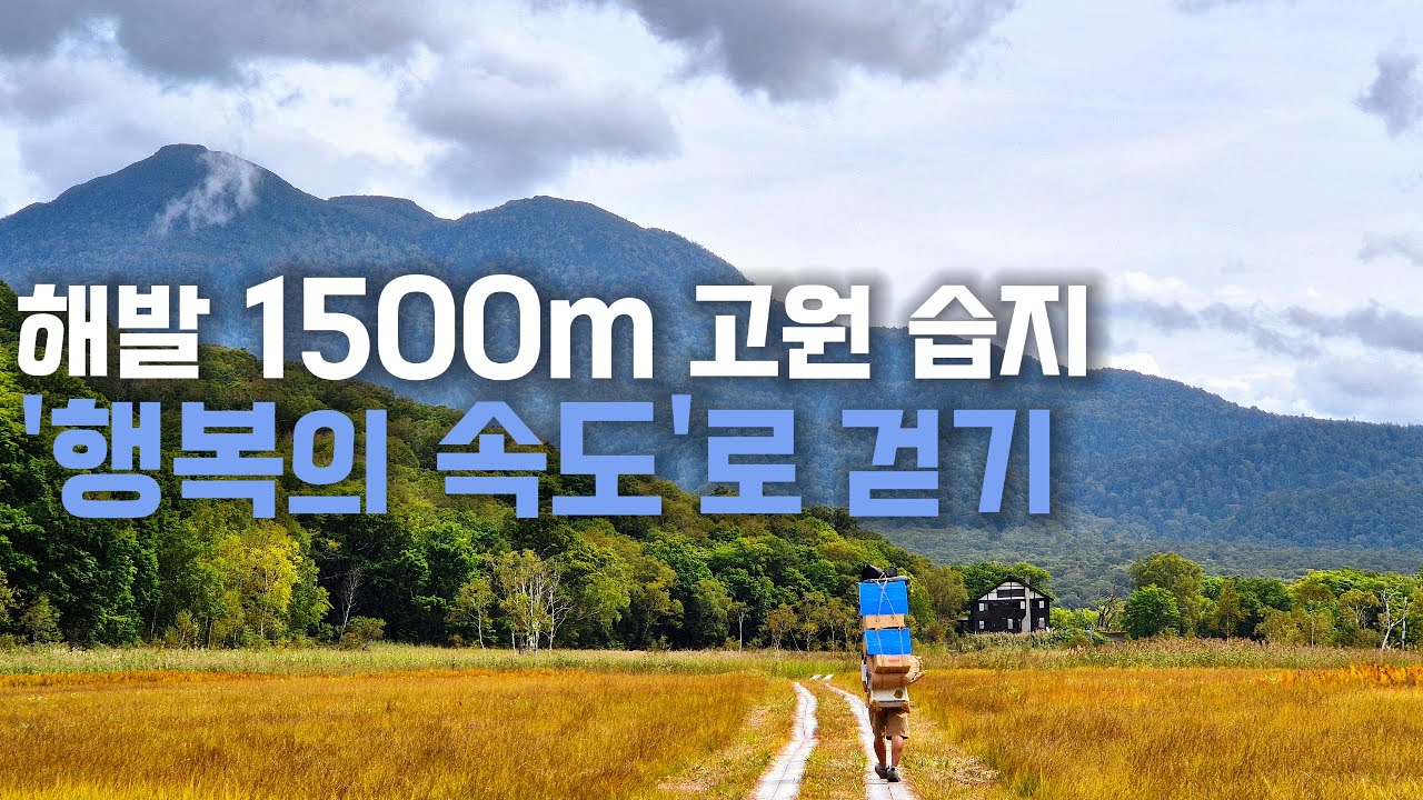 🇯🇵 일본 최대 고원 습지의 그림 같은 풍경 속을 걷다 【오제 국립공원 -1-】