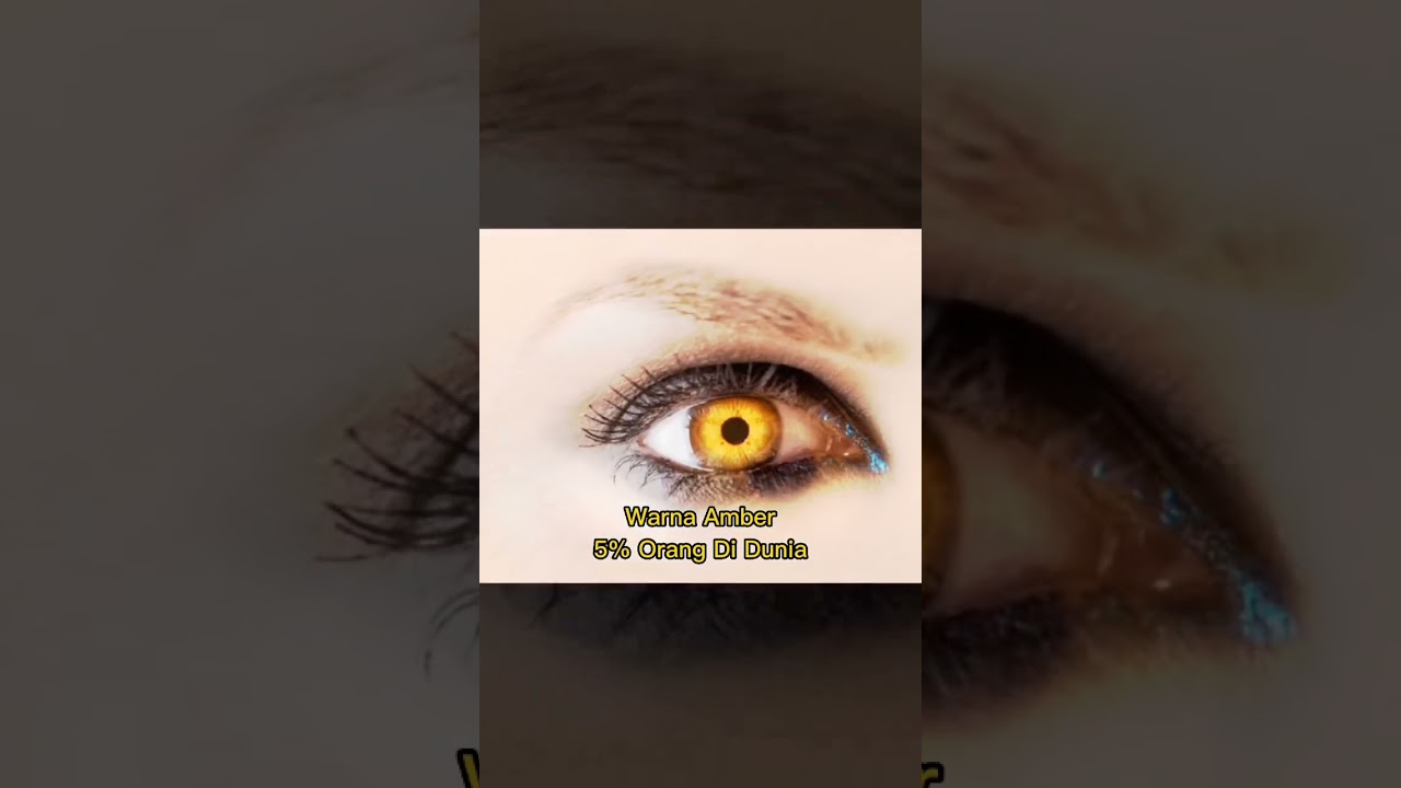7 Warna Mata Terlangka Di Dunia 😱🧐 