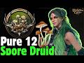PURE 12 SPORE DRUID Build in Baldur's Gate 3