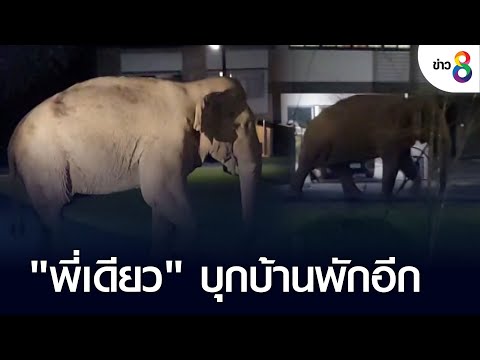 "พี่เดียว" บุกบ้านพักอีก | ข่าวช่อง 8 | 6 ก.ค. 65