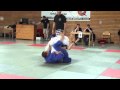 Sambo vs Judo