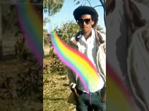 Gadisaa Dammiroo Siggiiddoo