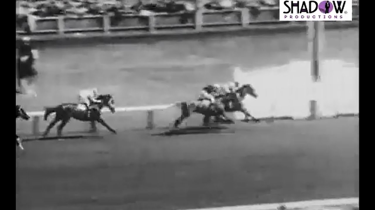 Straight Draw Melbourne Cup 2 YouTube