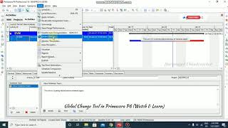 Global Change Tool in Primavera P6 (Watch & Learn)